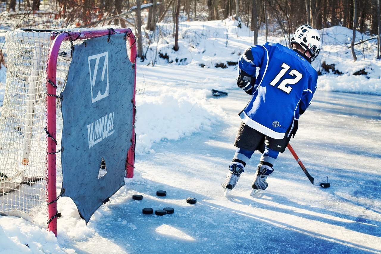 ice-hockey-hockey-player-young-570892 ice hockey, hockey player, young-570892.jpg